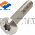 vis titane gr5 torx